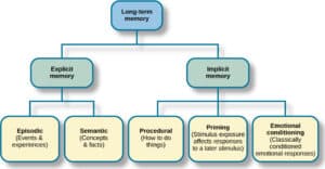Explicit vs implicit memory systems, Storage | Introduction to Psychology