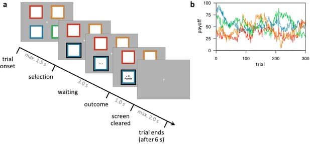 Fundamental Concepts, Figures and data in Dopaminergic modulation of the exploration/exploitation trade-off in human ...