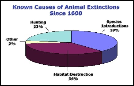 Extinct species, ECOLOGY