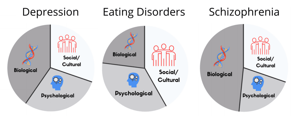 Factors in anxiety disorder development, Multidimensional Approaches to Understanding Mental Illness | Abnormal Psychology