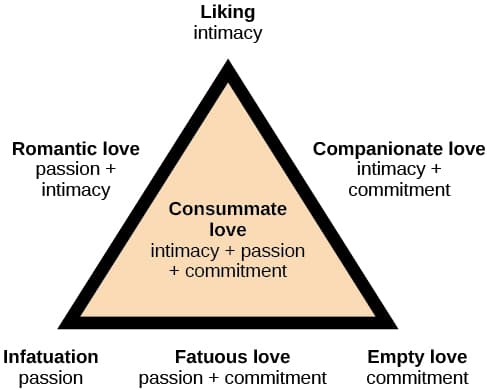 Factors influencing attraction, Prosocial Behavior | Introduction to Psychology