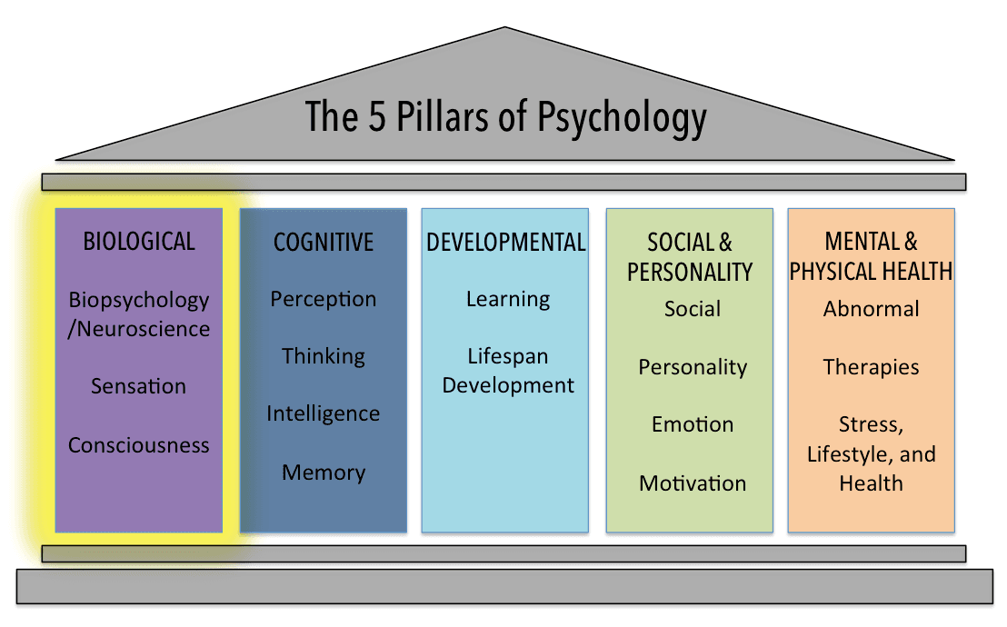 Factors in personality disorder development, The Biological Domain – General Psychology
