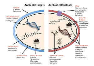Features of anti-infective medications, Antimicrobial resistance - Wikipedia