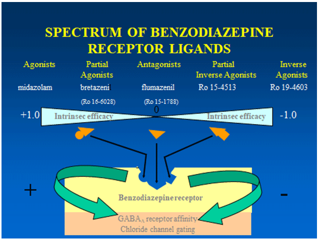 Features of anxiolytics and sedative-hypnotics, The GABAA receptor and benzodiazepine acceptor site