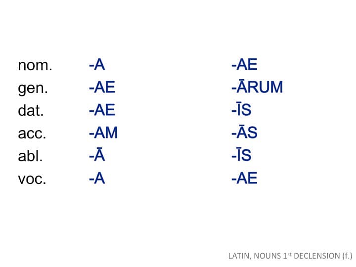 First declension adjectives, LATIN NOUNS 1st DECLENSION f | LATIN, NOUNS 1st DECLENSION (… | Flickr
