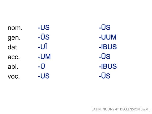 First person possessives, LATIN NOUNS 4th DECLENSION m f | LATIN, NOUNS 4th DECLENSION… | Flickr