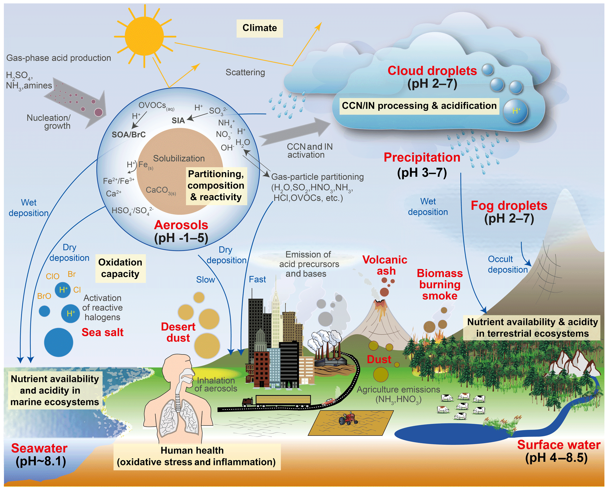 Formation and effects of air pollutants, ACP - The acidity of atmospheric particles and clouds