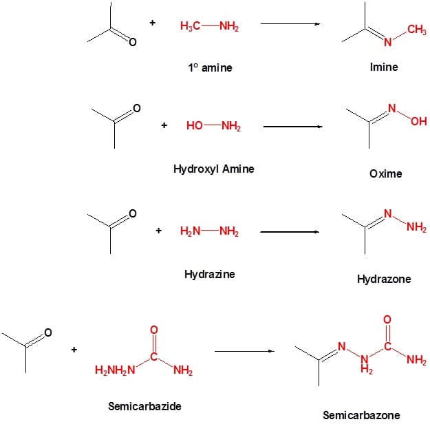 Formation of imines and enamines, 21.4. Imine formation | Organic Chemistry II