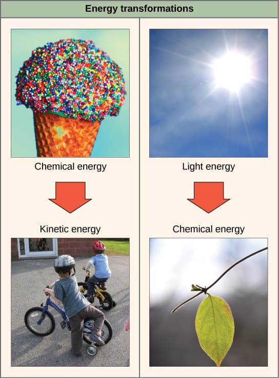 Forms of energy, The First Law of Thermodynamics | Introduction to Chemistry