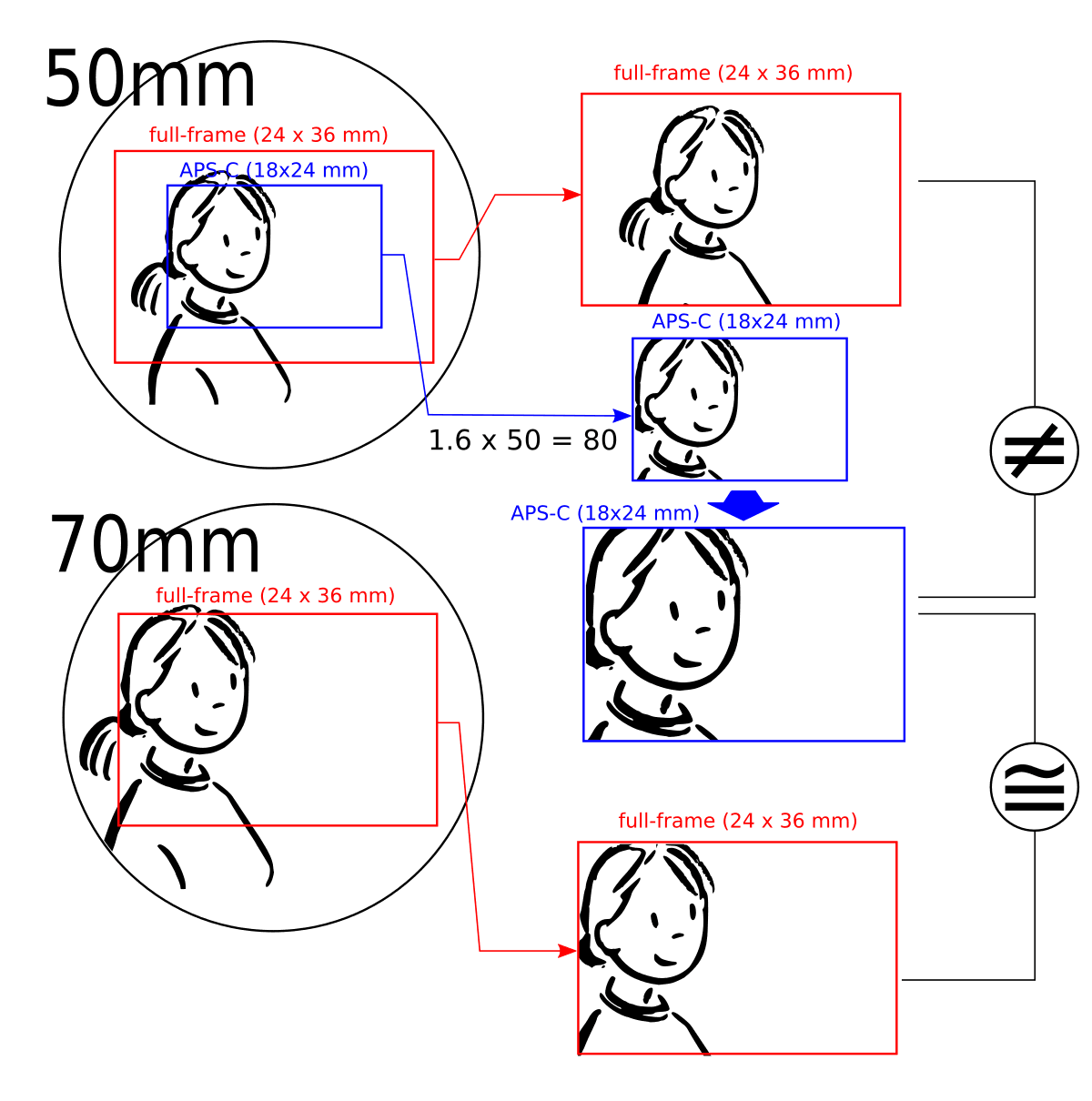 Full frame sensors, 35mm等效焦距 - 维基百科,自由的百科全书