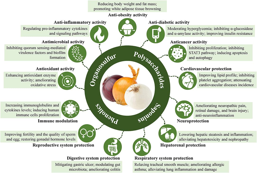 Defining Functional Foods and Nutraceuticals, Frontiers | Recent Advances in Bioactive Compounds, Health Functions, and Safety Concerns of ...