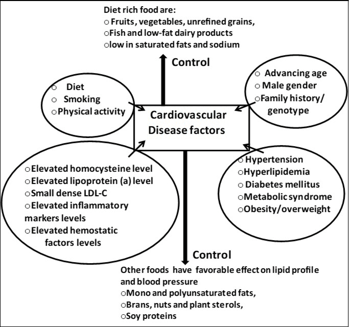 Definition and Role in Health, Need of Nutraceuticals / Functional Food Products for Health Benefits to World-Wide People ...