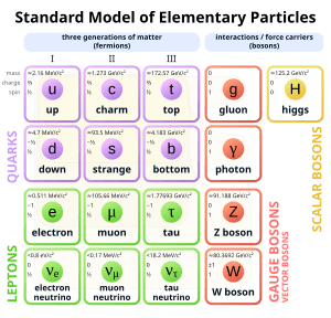 Fundamental Forces and Particle Classification, Gauge boson - Simple English Wikipedia, the free encyclopedia