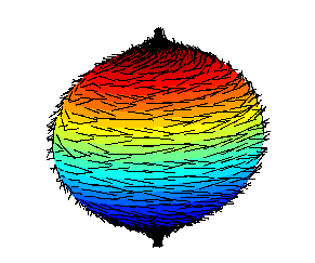 Fundamental Theorems and Their Applications, Hairy ball theorem - Wikipedia