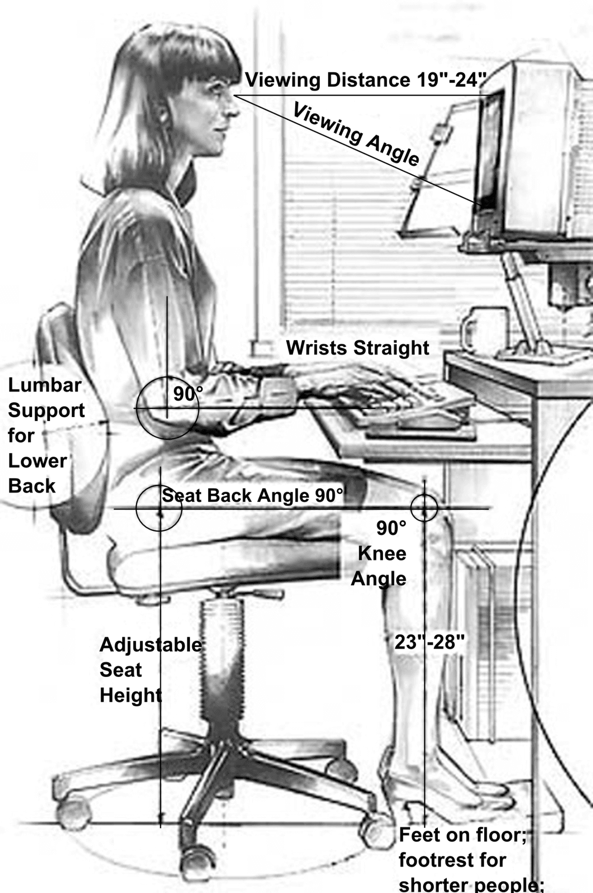 Fundamentals of ergonomics, Anthropometry - Wikipedia