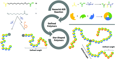 Fundamentals of polymer science, Controlling molecular weight and polymer architecture during the Passerini three component step ...
