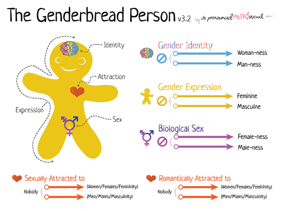 Gender identity and expression, Advancing the conversation: next steps for lesbian, gay, bisexual, trans, and queer (LGBTQ ...