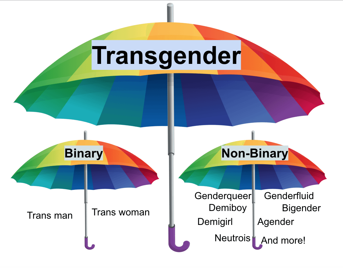 Gender and identity, Talk:Genderqueer - Wikipedia