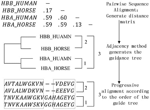 Definition and purpose, Frontiers | Research on Components Assembly Platform of Biological Sequences Alignment Algorithm