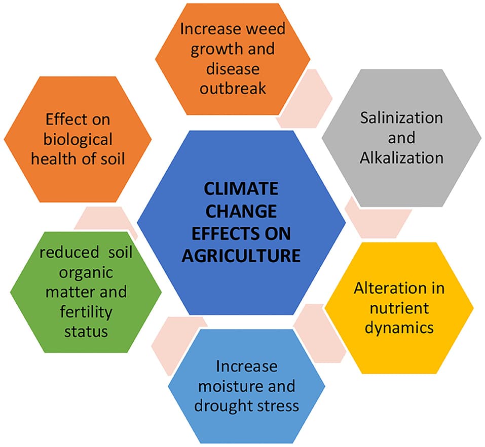 Global economic impact of climate change, Frontiers | Climate Change and Salinity Effects on Crops and Chemical Communication Between ...