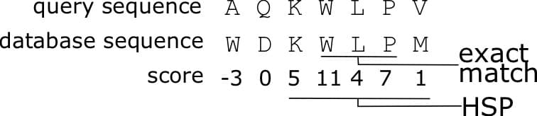 Greedy algorithms, Chapter 3: Sequence Alignments – Applied Bioinformatics