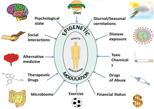 Greek vs Latin influences, Bioengineering and Healthcare: Approaches for Understanding the Relation between Epigenetics ...