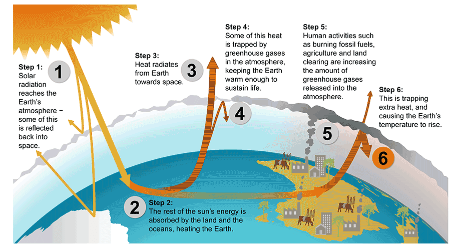 Greenhouse gases and global warming, 10.4 Climate Change | Environmental Biology