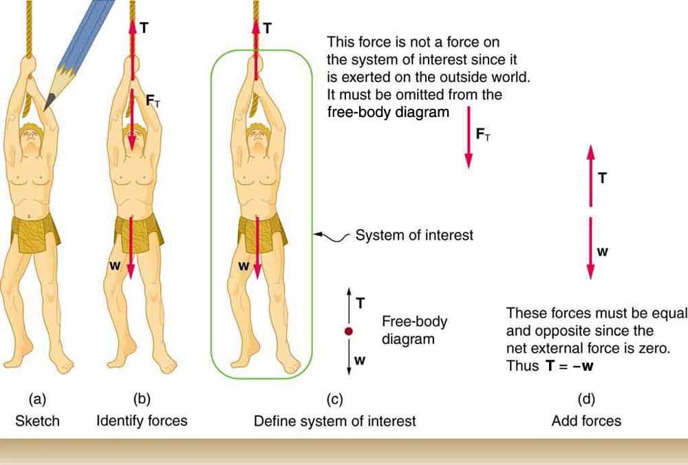 Components and measurement, 6.7 Problem-Solving Strategies – Biomechanics of Human Movement