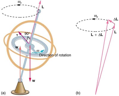 Motion and stability of gyroscopes, Gyroscopic Effects: Vector Aspects of Angular Momentum | Physics