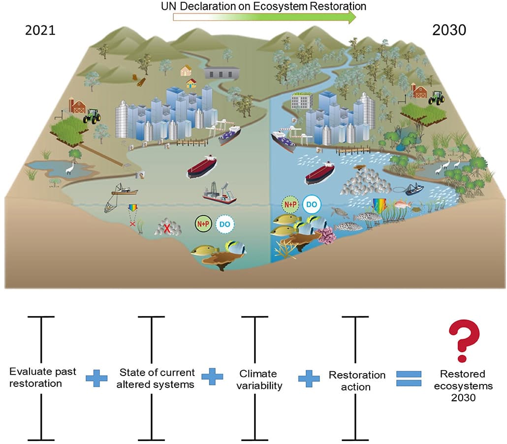 Habitat Restoration and Reintroduction, Frontiers | UN Decade on Ecosystem Restoration 2021–2030—What Chance for Success in Restoring ...