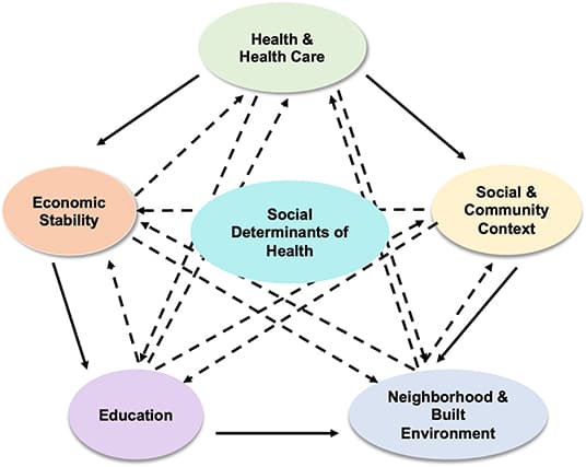 Health disparities vs inequalities vs inequities, Frontiers | Impact of Social Determinants of Health on the Emerging COVID-19 Pandemic in the ...