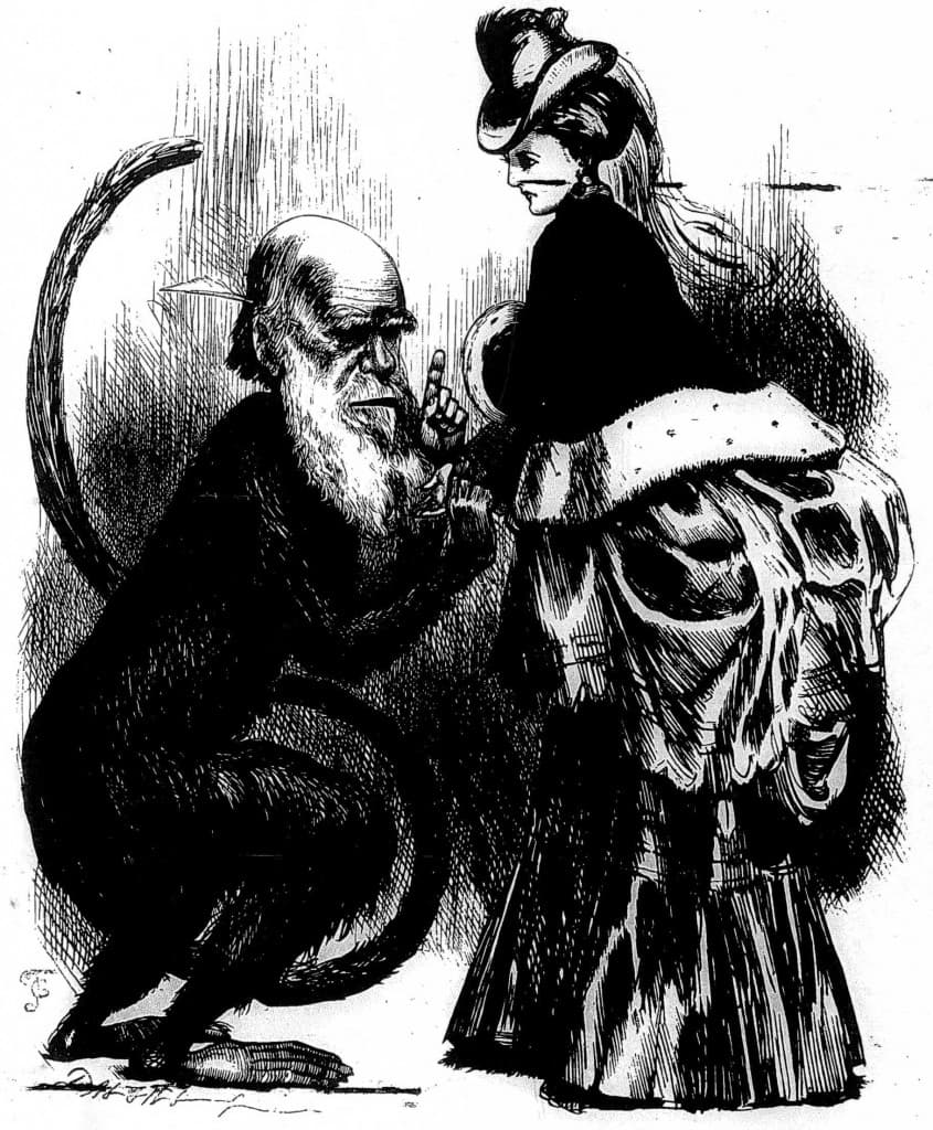 Historical perspectives, Smith Fig 9–DarwinCartoon | BRANCH