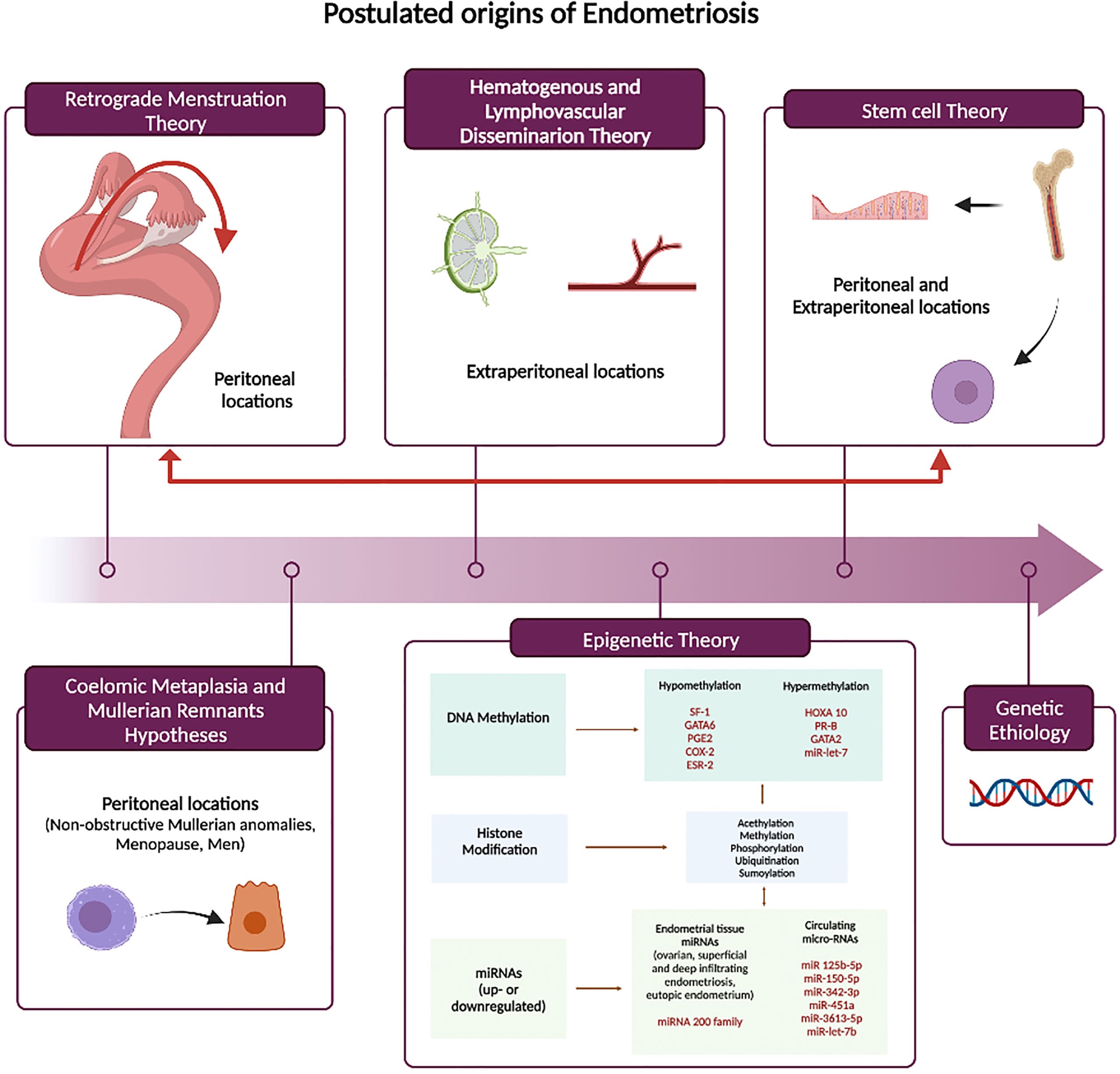 Key characteristics and uses, Frontiers | Endometriosis-associated infertility: From pathophysiology to tailored treatment