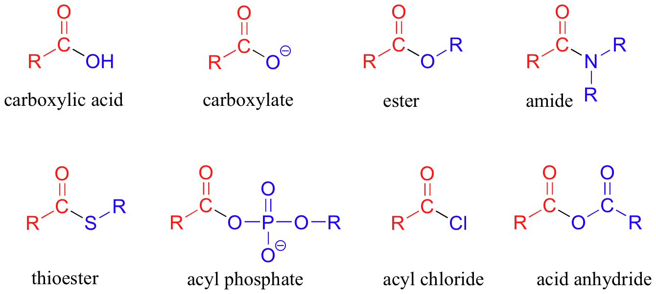 IUPAC naming of carboxylic acids, 22.1: Introduction - Chemistry LibreTexts