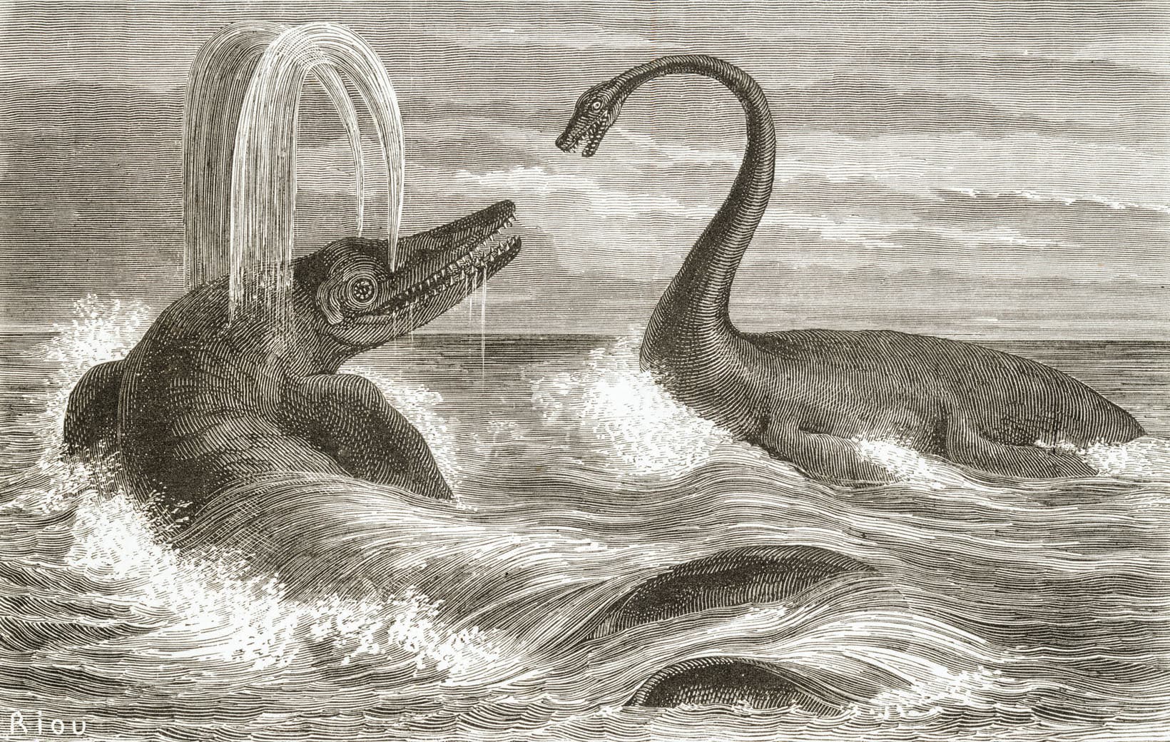 Ichthyosaurs, Delwedd:Ichthyosaur and Plesiosaur 1863.jpg - Wicipedia