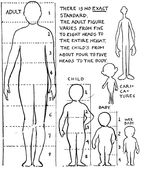 Ideal proportions vs individual variations, Year8FrenchTerm3 - Lesson 06, The body