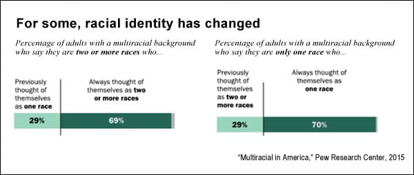 Identity Frameworks and Terminology, Race, ethnicity and identity in America: Research roundup - Journalist's Resource