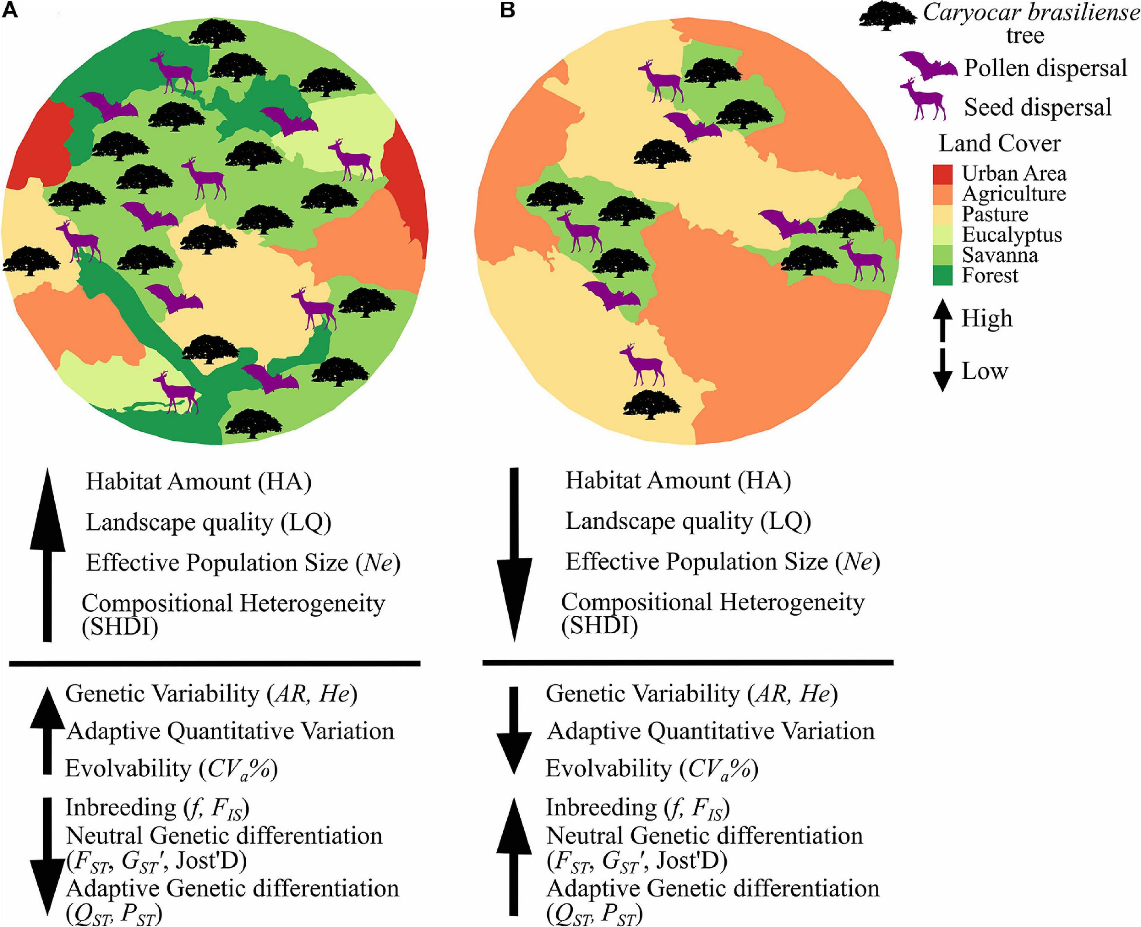 Importance of genetic variation, Frontiers | Agricultural Landscape Heterogeneity Matter: Responses of Neutral Genetic Diversity ...