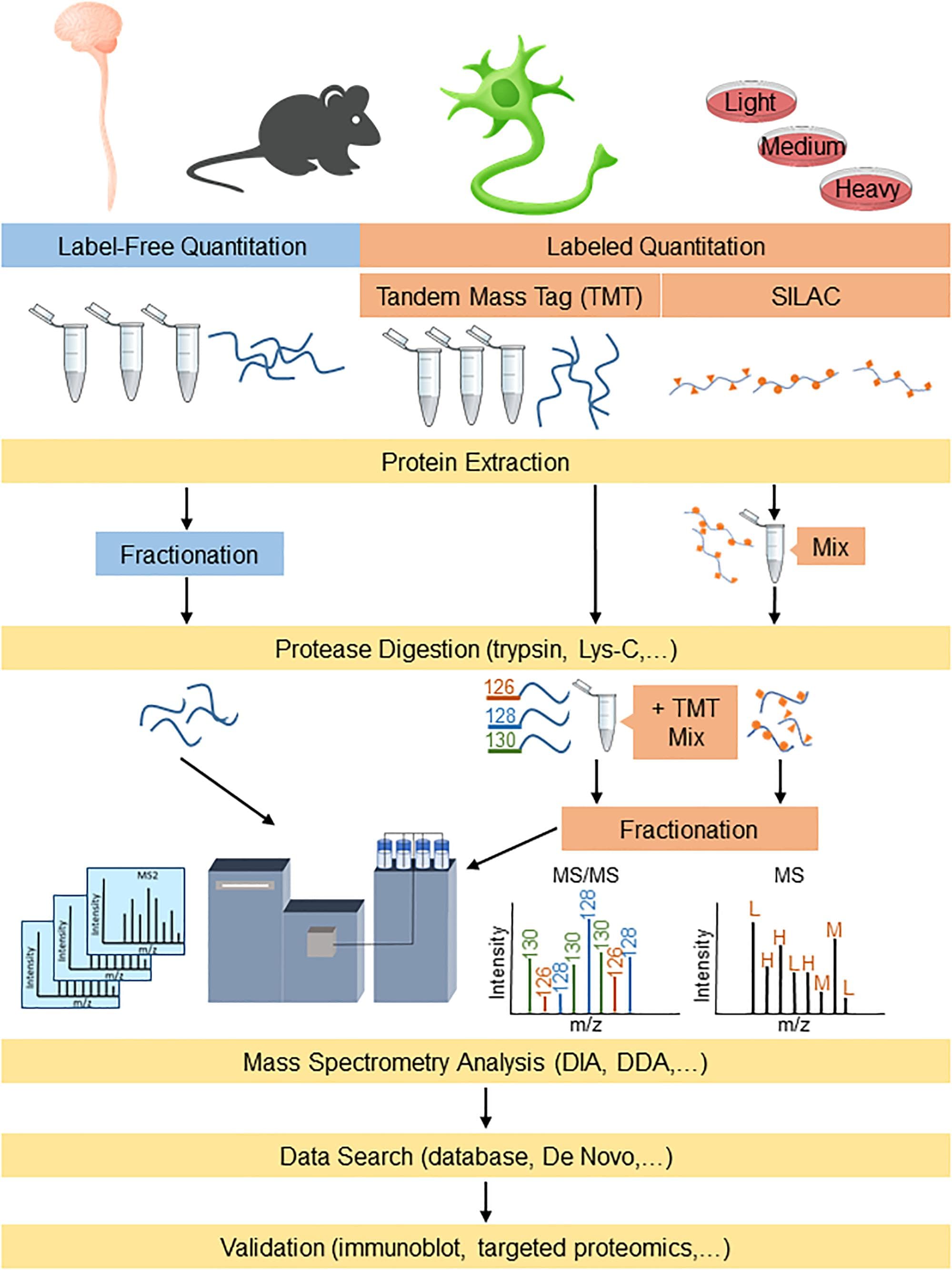 Importance in bioinformatics, Frontiers | Proteomics Approaches for Biomarker and Drug Target Discovery in ALS and FTD