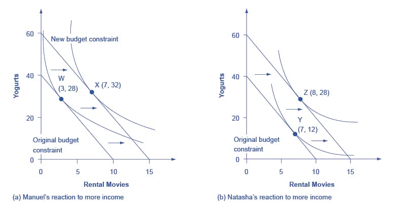 Defining Income and Substitution Effects, Indifference Curves | OS Microeconomics 2e