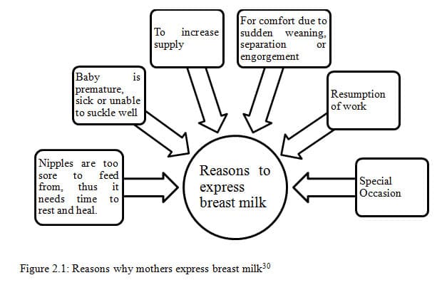 Infancy (Birth to 12 Months), Importance of Exclusive Breastfeeding and Complementary Feeding among Infants