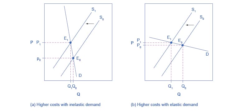 Infinite vs zero elasticity, Reading: Elasticity, Costs, and Customers | Microeconomics