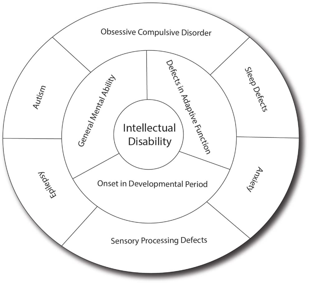 Definition of intellectual developmental disorder, Frontiers | From Learning to Memory: What Flies Can Tell Us about Intellectual Disability ...