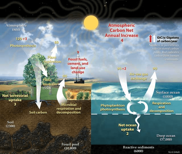 Interconnected Earth Systems, Biogeochemical Cycles and the Flow of Energy in the Earth System | Sustainability: A ...