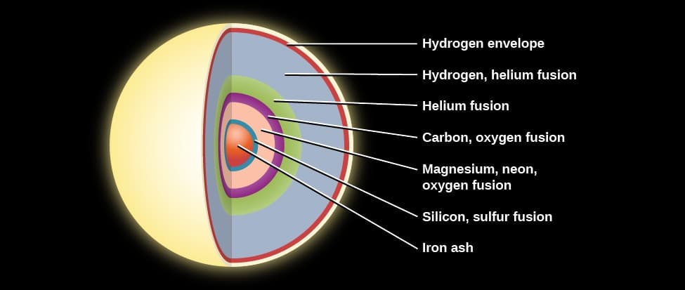 Interior structure of pre-supernova stars, 22.5 The Evolution of More Massive Stars | Astronomy