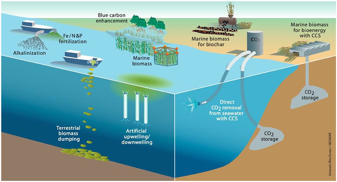 International Externalities and Environmental Impact, Frontiers | Navigating Potential Hype and Opportunity in Governing Marine Carbon Removal
