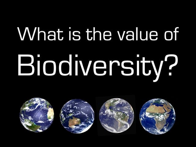 Intrinsic value of nature, What is the value of biodiversity? = ¿Cuál es el valor de … | Flickr