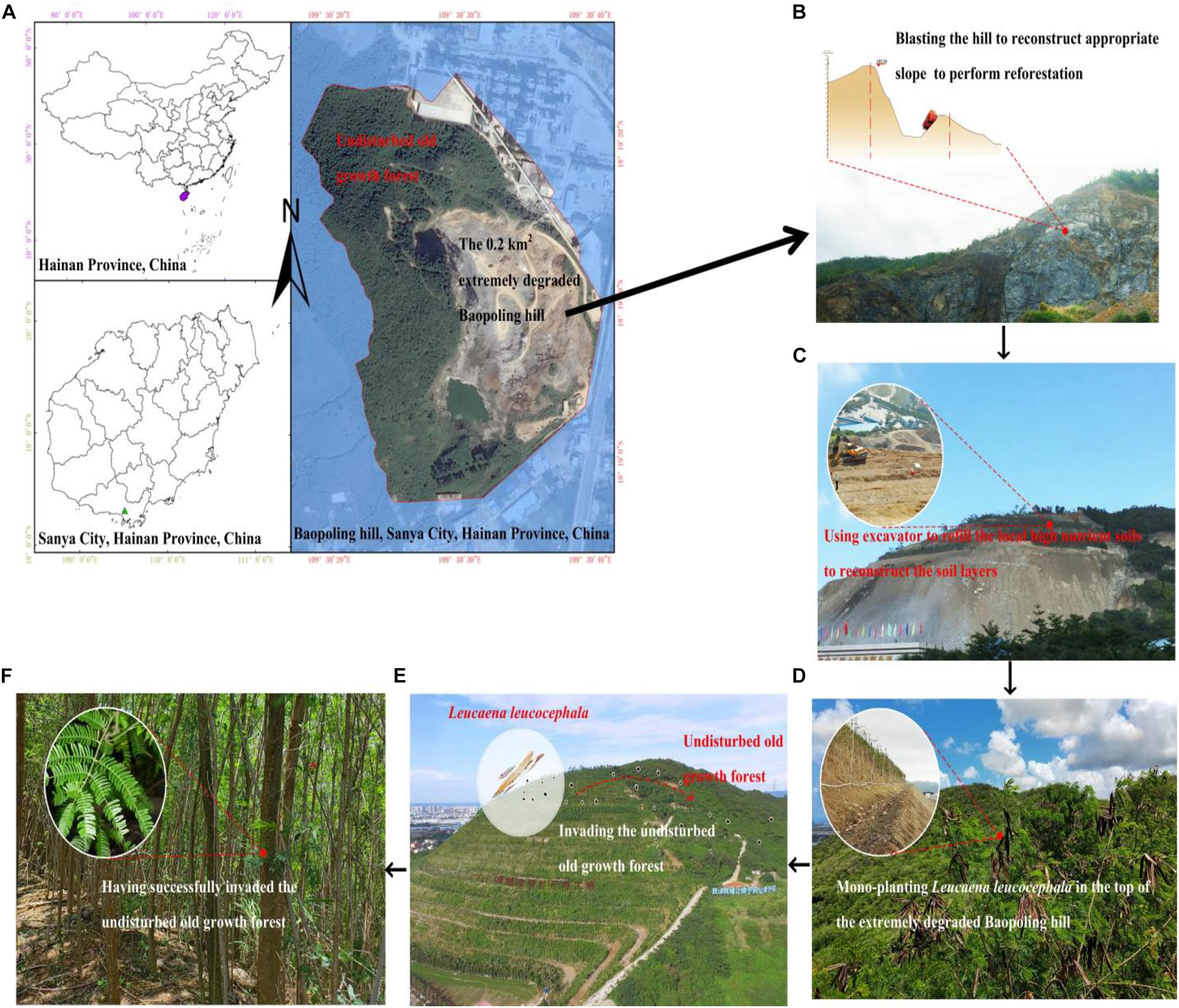 Defining Invasive, Native, and Exotic Species, Frontiers | A Trait-Based Protocol for the Biological Control of Invasive Exotic Plant Species