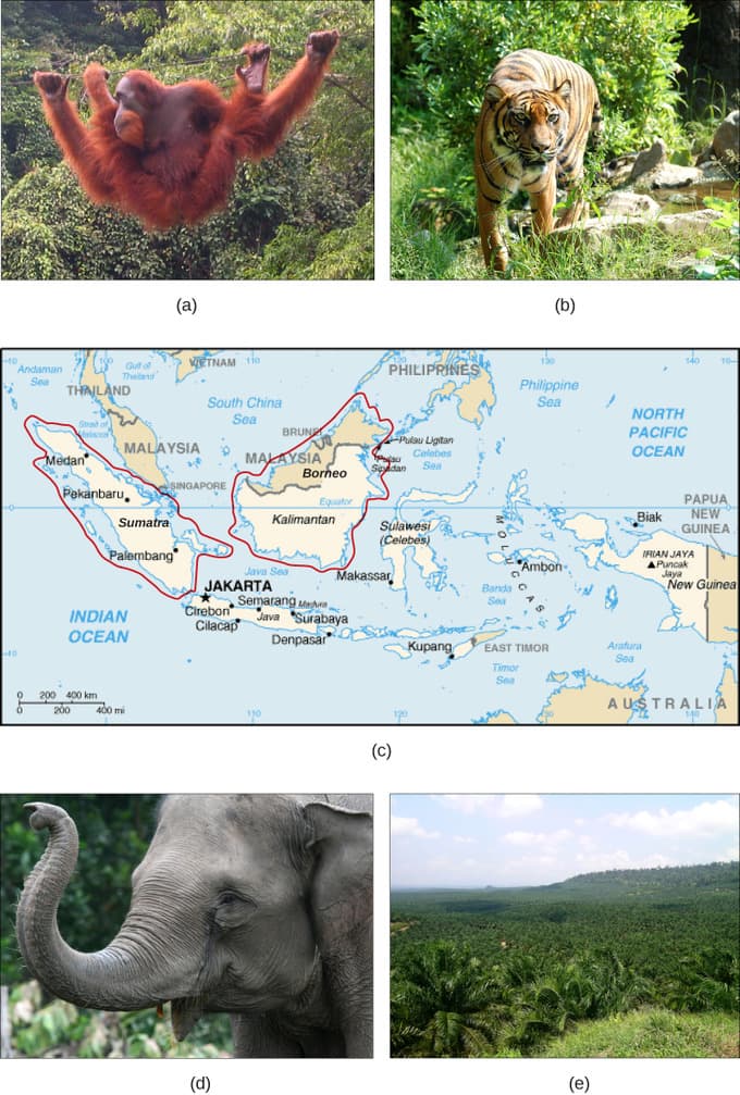 Defining Invasive Species, Threats to Biodiversity | Boundless Biology