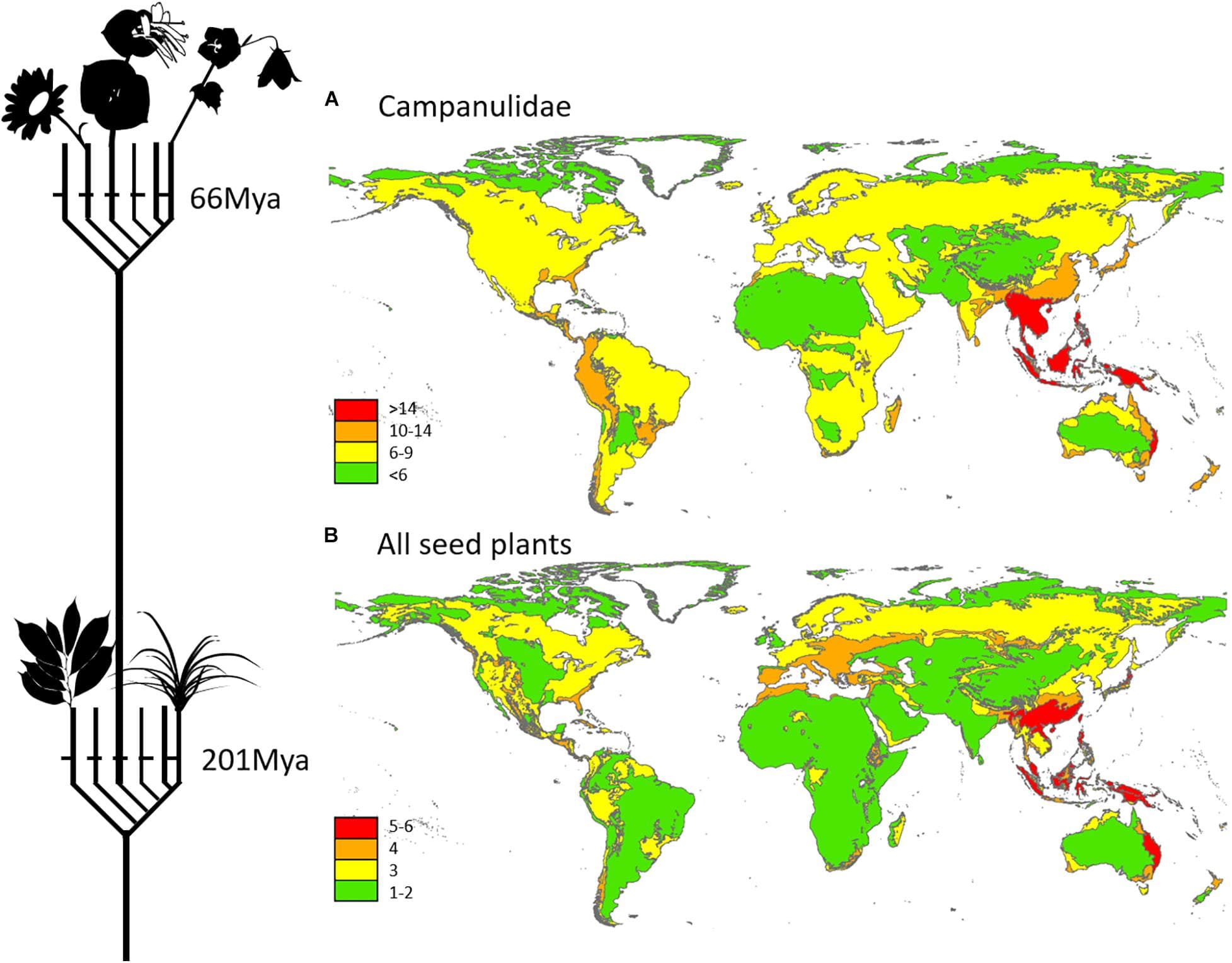 Principles and Factors Influencing Species Richness, Frontiers | Southeast Asia as One of World’s Primary Sources of Biotic Recolonization Following ...
